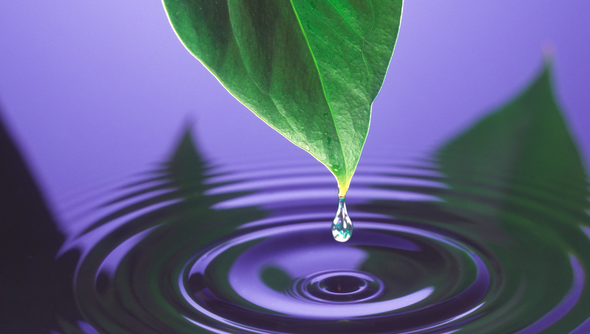 fields at golden hour symbolizing water conservation